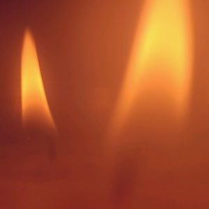 Meet your Posher, Codi